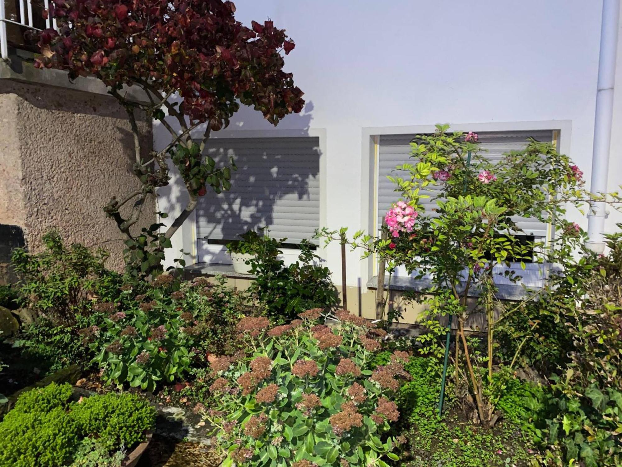 Moderne Souterrain-Oase In Top-Lage Bad Hersfeld Exterior photo
